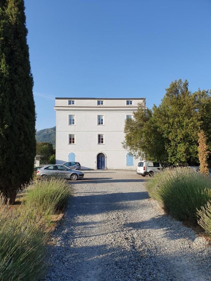 Casa Guelfucci Bed & Breakfast Amantea Exterior foto